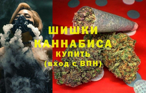 прущие грибы Богородицк