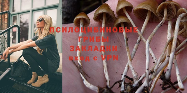 тгк Богородск